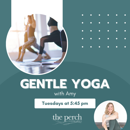 Gentle Yoga with Amy - Early Tuesday Night