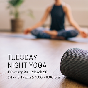 Tuesday Night Gentle Yoga - February Session